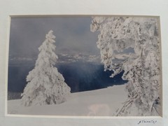 Set of 4 Wildlife/Nature Photographs by Jim Stamates, 4″x6″, Matted to 8″x10″
