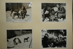 Photo Album Dominitwerk Man Car Steamer Woman Fair Advertising Factory Brilon Technology