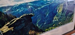 Framed and Matted High Quality Photograph of Yosemite in California