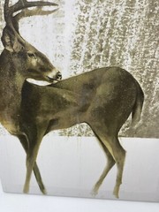 Deer In Snow Forest Print Art Picture Farmhouse Decor New Animal