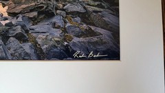 Marshall Point Lighthouse Maine Matted Fine Art Photo 8×12 in print in 12×16 mat