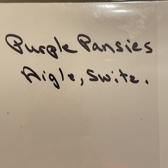 Nancy Ross-Ruddick Original Photograph Signed Matted Purple Pansies Aigle, Switz