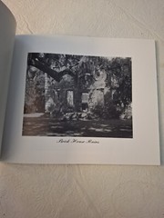 Indigo Tides by Suzanne Strout 1998 Signed by Author/Artist