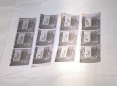 NEWLY FOUND Hendrickson PHOTO Contact Sheet Proof /Negs HOT COWBOY FEEDS SKUNKS