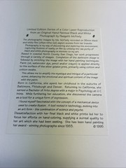 Padgett McFeely 3 1995 Signed And Numbered Prints