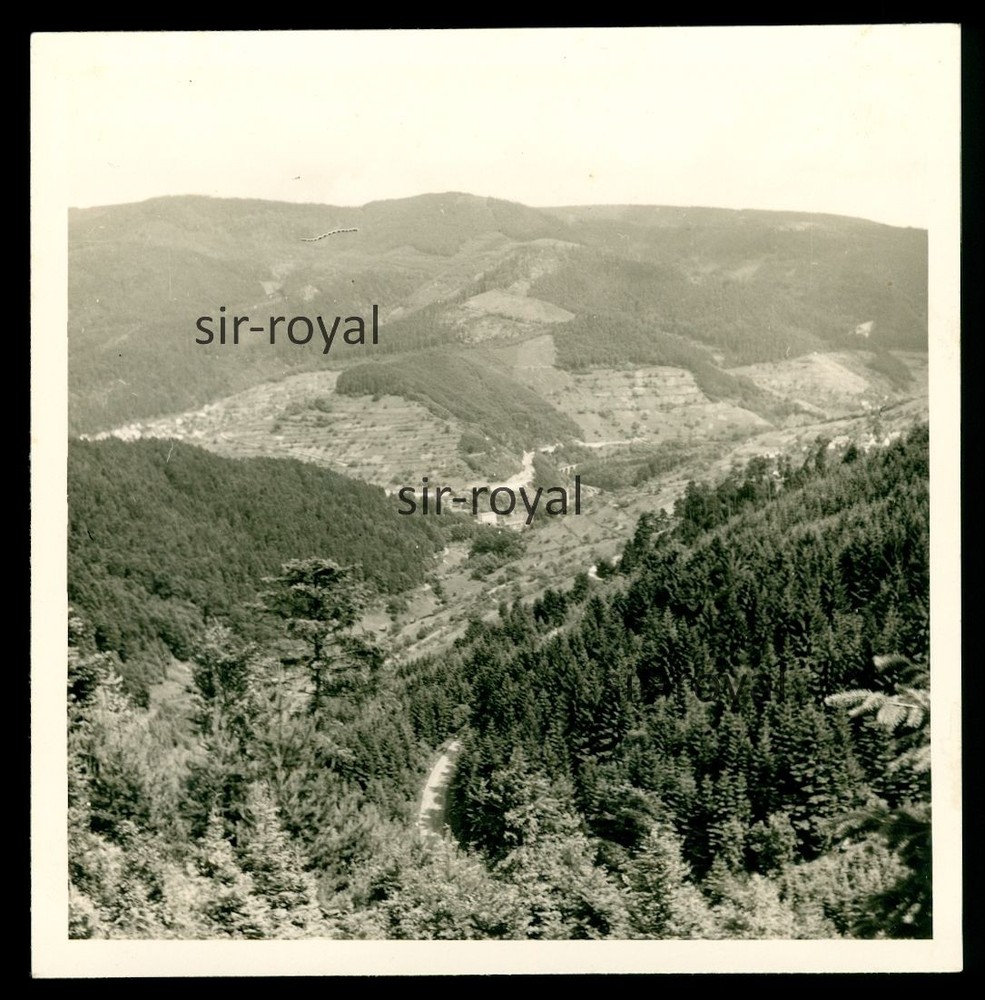 Forbach Bermersbach 1968 – Landscape in the Area – 1960s – Photo 9x9cm
