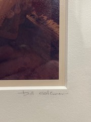 Bill Coleman Amish No. 454 Signed by artist, numbered Framed Color Photograph