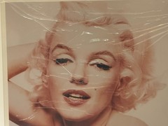 Bert Stern «The Last Sitting» Marilyn Monroe Photograph 20″x24″ Signed 148/250