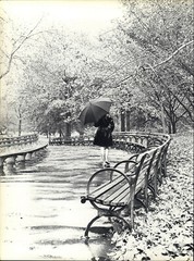 1966 Wingate Paine Female Stroll in the rainy Park Art Photo Photogravure 16×20