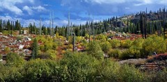 Hazard Lake Country Fall Color #3 McCall Idaho Landscape Photo Poster Print HL05