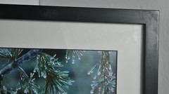Icy Pines 1 of 50 Framed and Matted Under Glass Signed Photograph