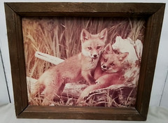 Danny On Framed Wildlife Photo Fox Cubs – Signed – Montana Glacier Park Artist