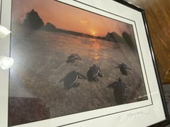 David Leach Signed photograph Mat Frame Lookout Below Leatherback Parade 88/250
