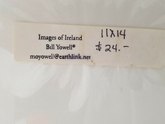 Ireland Forest Moss Ferns Trees Photograph 11 x 14 Matted NEW SEALED County Cork