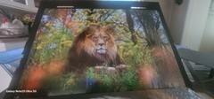 2 Large Gloss Displates For Sale (26.6 x 18.9in). Brand New.