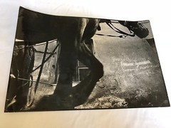 Algirdas Pilvelis 1970 Horse Lithuania black & white Art Photograph