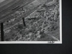 UNION PACIFIC 9000 Locomotive 8×10 Photograph Vtg 50s OOAK Railway Railroad