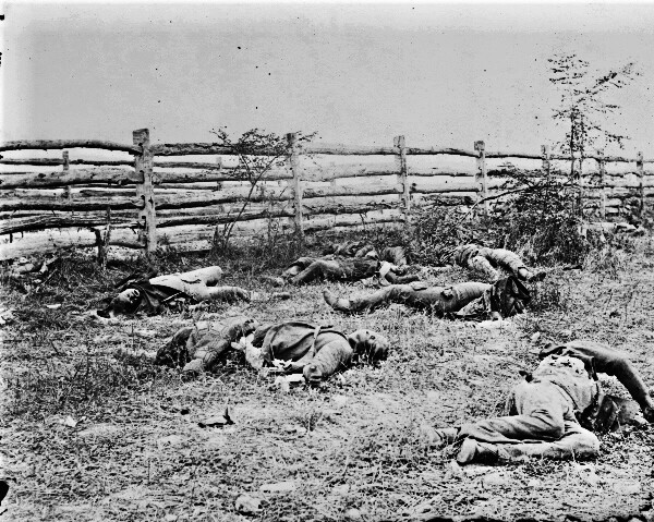 New Civil War Photo: Soldiers Dead by Fence, Antietam – Sharpsburg – 6 Sizes!