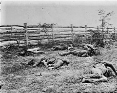 New Civil War Photo: Soldiers Dead by Fence, Antietam – Sharpsburg – 6 Sizes!