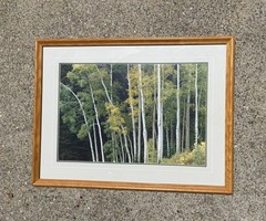 Thomas Mangelsen Guardsmans Pass – Aspen. Larger Out of Print Collectors Edition