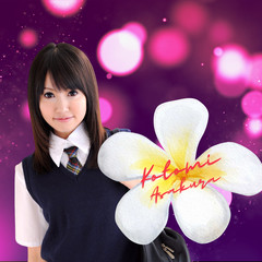Kotomi A. Art Photo Collection (+1.600)
