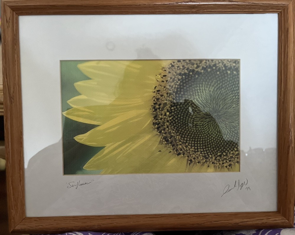 Sunflower Photograph Of Painting Signed Frank Lupu 1999 Framed Matted New Jersey