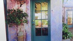 Catherine Archuleta Photograph Provence France SIGNED Pink House Roses + Purple