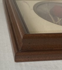 Rick Denomme Bird Photography Set of 4 Framed Cardinal Chickadee Titmouse Signed
