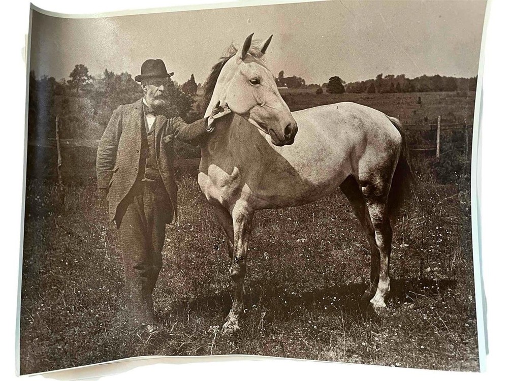 Vintage photo Man White Horse in Field 8 x 10 Black White Photographer’s Estate