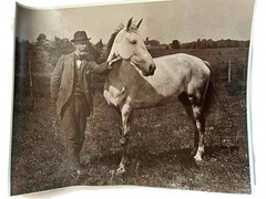 Vintage photo Man White Horse in Field 8 x 10 Black White Photographer’s Estate