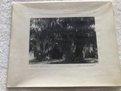 Original Vintage Photography from C. Bennette Moore signed Old Oaks Louisiana