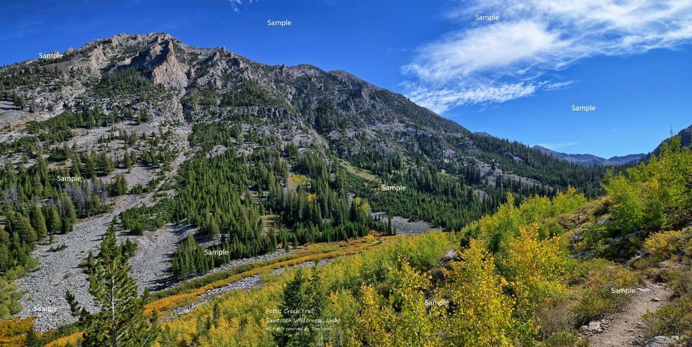 Sawtooth Mountain Wilderness Pettit Creek Trail Idaho #2 Photo Poster Print SM09