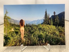 Contemporary Pinup Girl 4×6 Photo – Fine Art Color Print – Brunette Female Form