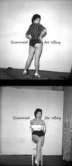 16 NEGATIVES LEGGY BUSTY ACTRESS ANNE AUBREY WARWICK FILMS STAR GLAMOUR – 1950s