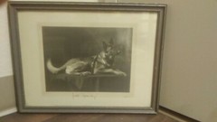 Dog Art Collectibles Dog Photograph Antique Collectibles Images 