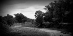 Fine Art Print, Black and White Photography, 9×18, Little Blue River, Nebraska