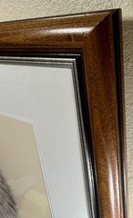 Framed Wildlife Photography “Porcupine In Snow W/Antler” Titled “Tina Turner”