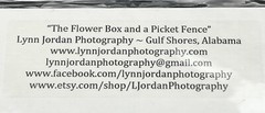 Floral Photography Picture Art by Lynn Jordan «The Flower Box & a Picket Fence»