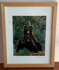 Art Wolfe Signed Wildlife Photograph Print/Framed 8×10 Bears