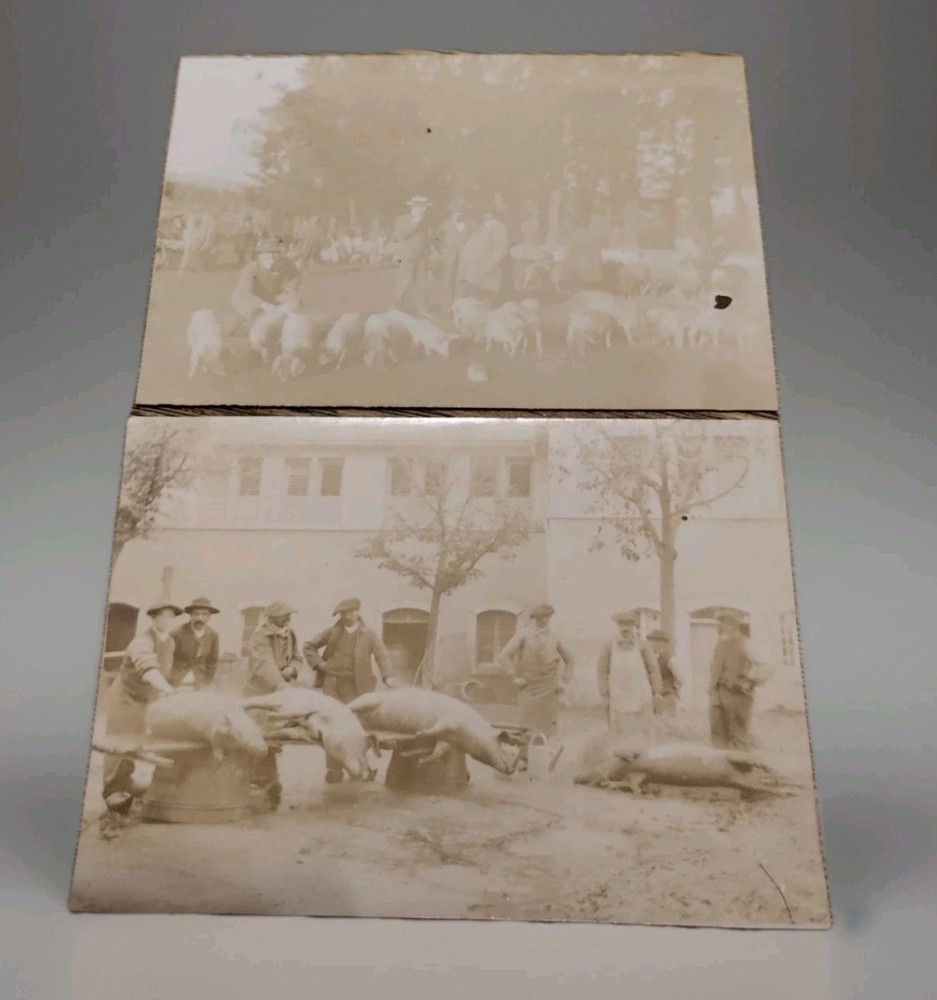 Saint Saturnin le Barry Aveyron Pig Fair Antique Photos Original Print Sepia