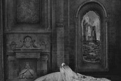 Fine Art B+W Photography Signed Ltd Edition SURREAL Gothic Hand Composition