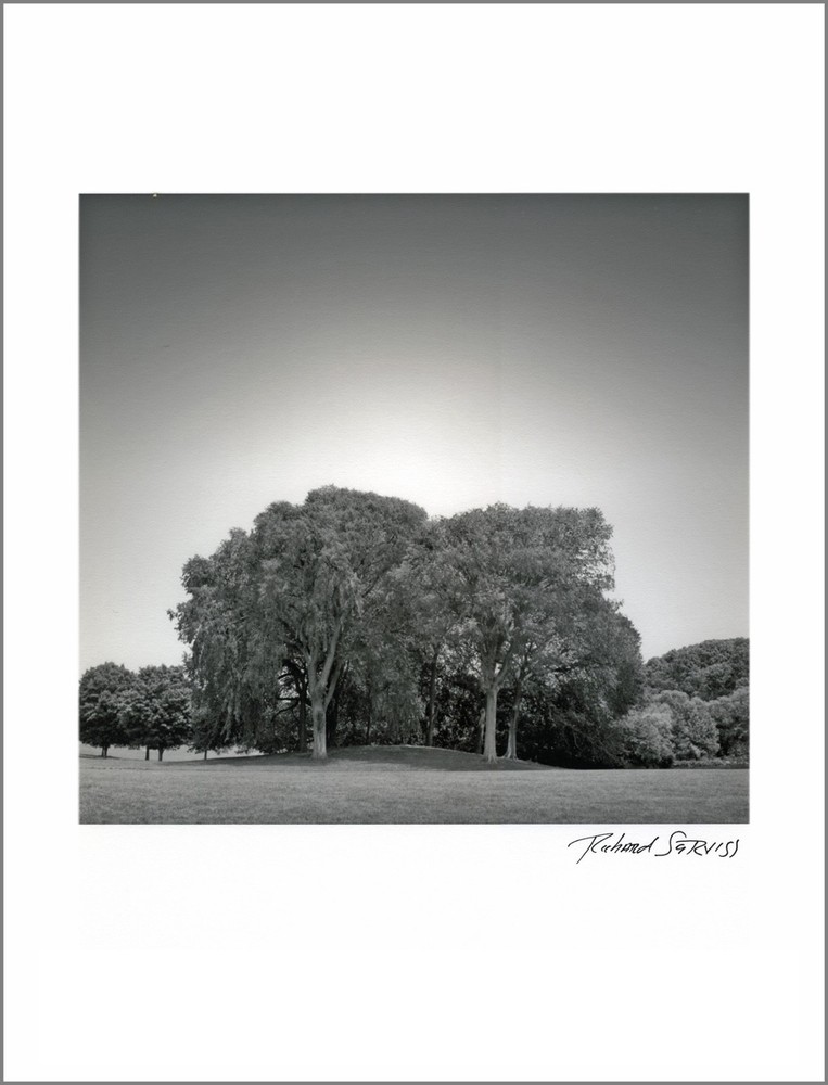 Brooklyn – 11×14” Print – Signed by Photographer Richard Serviss