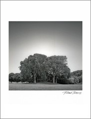 Brooklyn – 11×14” Print – Signed by Photographer Richard Serviss