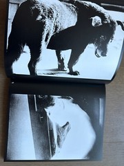 Exclusive! NEW! Daido Moriyama – A RETROSPECTIVE UMA RETROSPECTIVA, 2022