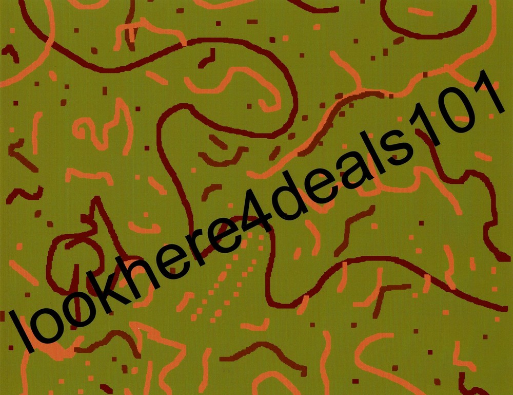 Art Photo 4×6 Collectibles Original Print Abstract Design USA
