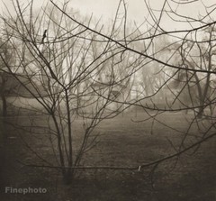 1952 Vintage Print JOSEF SUDEK ~ Czech MISTY MOODY LANDSCAPE Photo Gravure 11X14