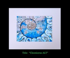 matted photograph, 5″x7″ print, mounted 3/16″ foam with 8″x10″ single white mat