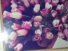 21×17 Vintage Art Photograph TULIPS BY JULIAN E. CARABALLO