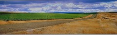 Gary Love Signed Open Edition «Copperhead Raod» Panoramic Photography Framed