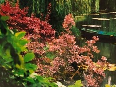 Signed Claude Taylor Monet’s Garden France Framed Matted Photograph 11×9